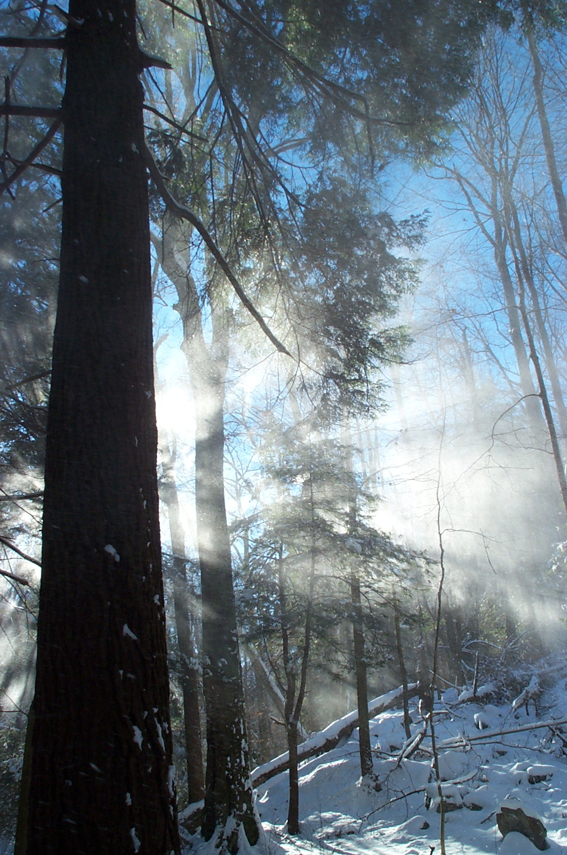 2002-12-07-09-53-49.OR-EASTM-KODAK