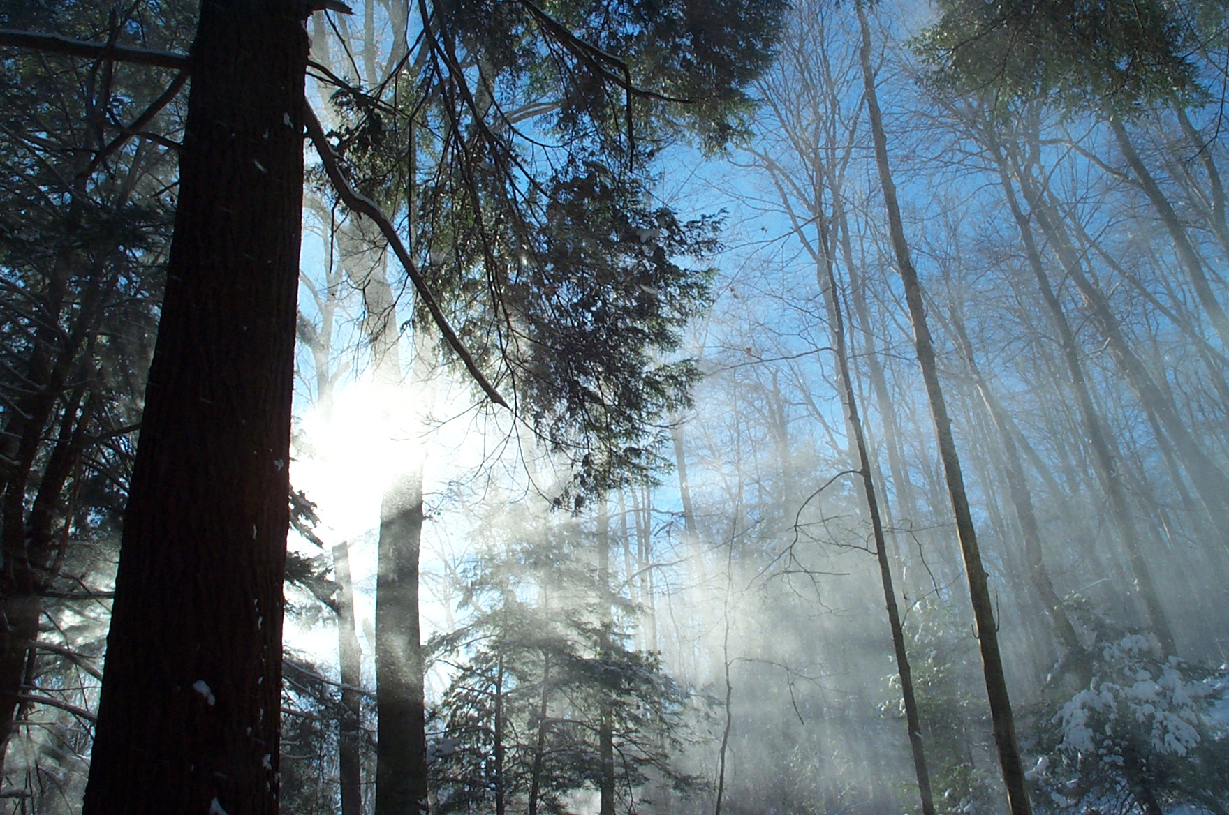 2002-12-07-09-53-56.OR-EASTM-KODAK