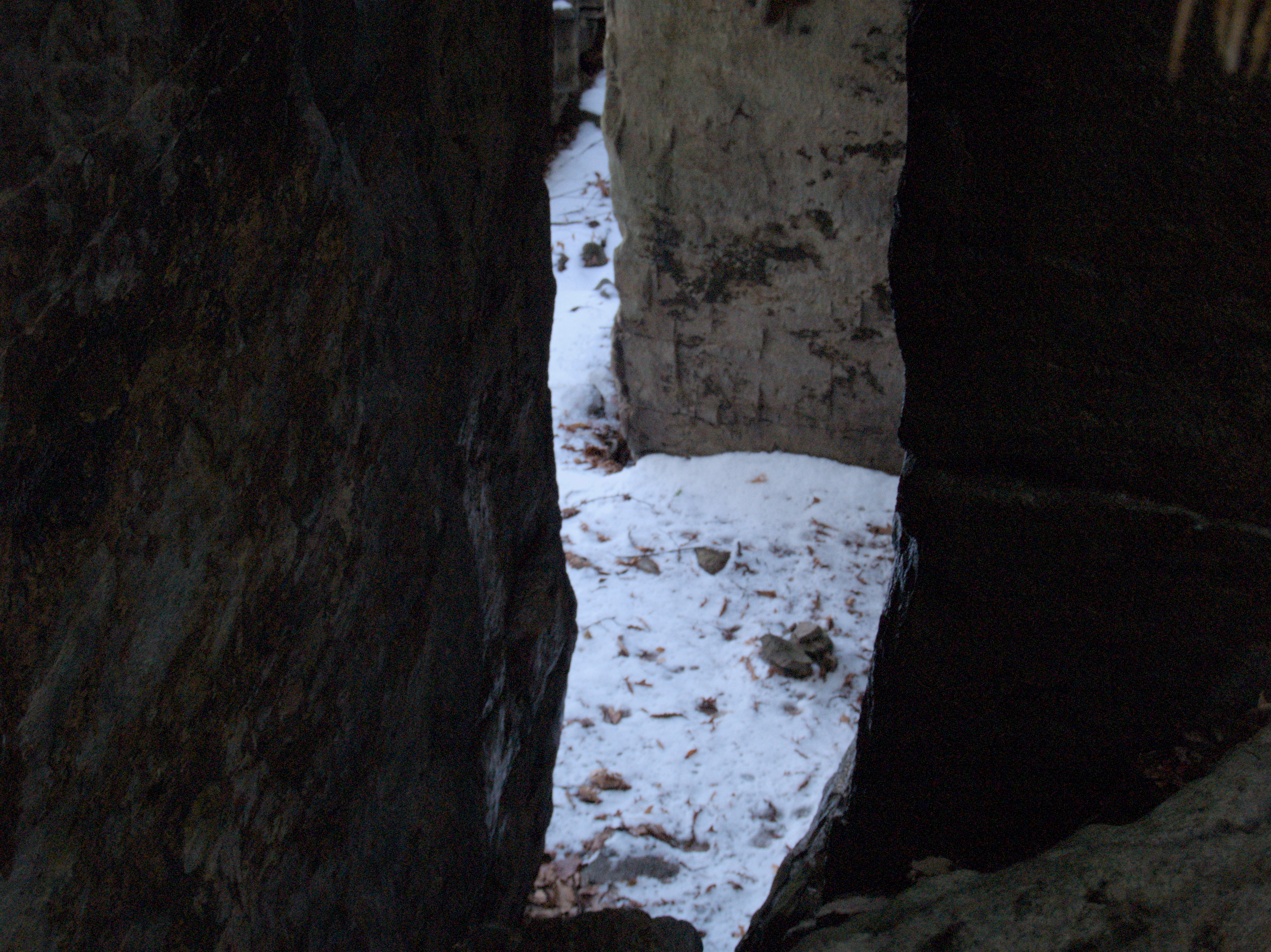 2006-01-28-12-54-24.OR-OLYMP-E-1--