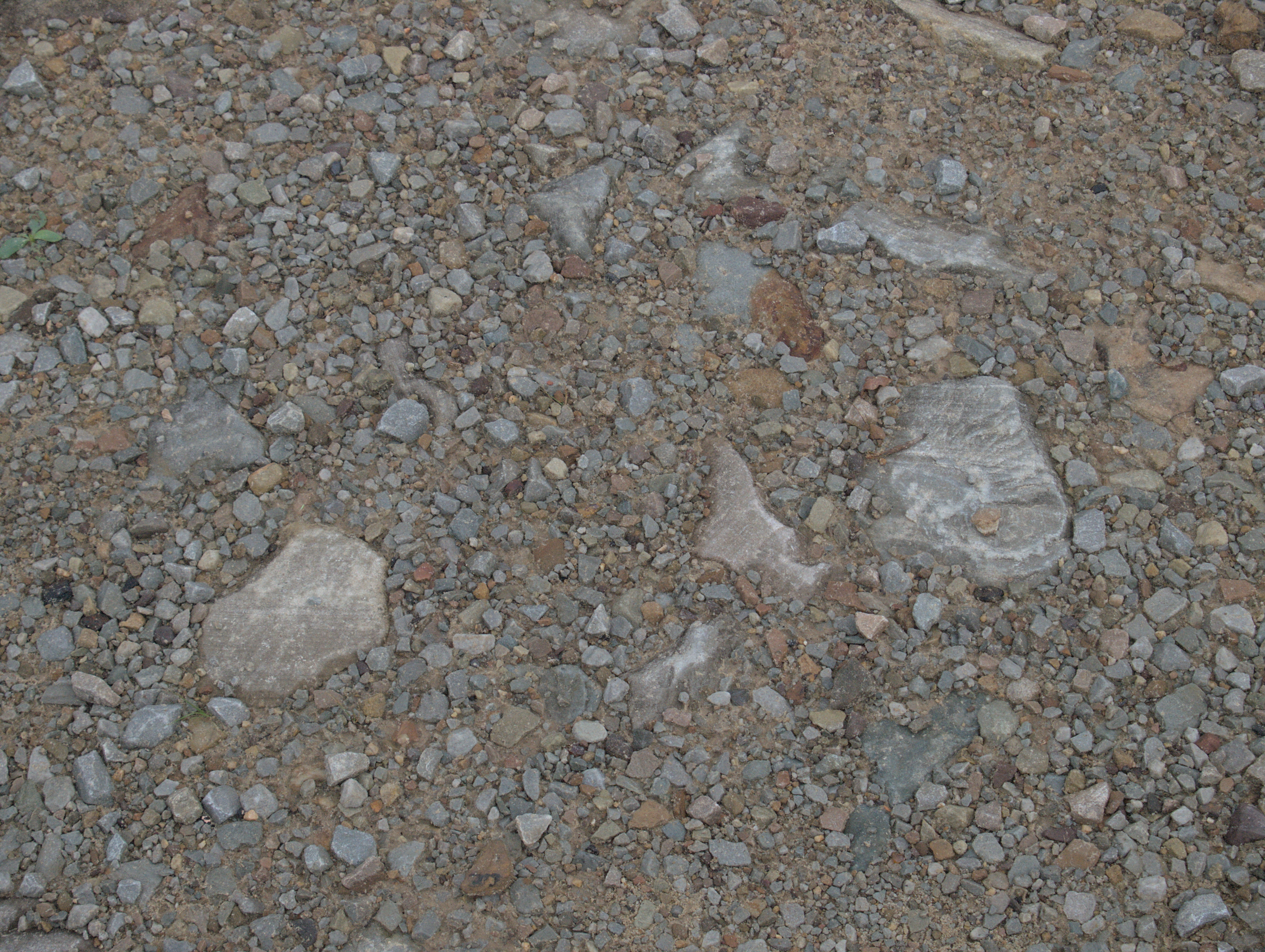 2008-08-01-08-12-13.OR-OLYMP-E-3--