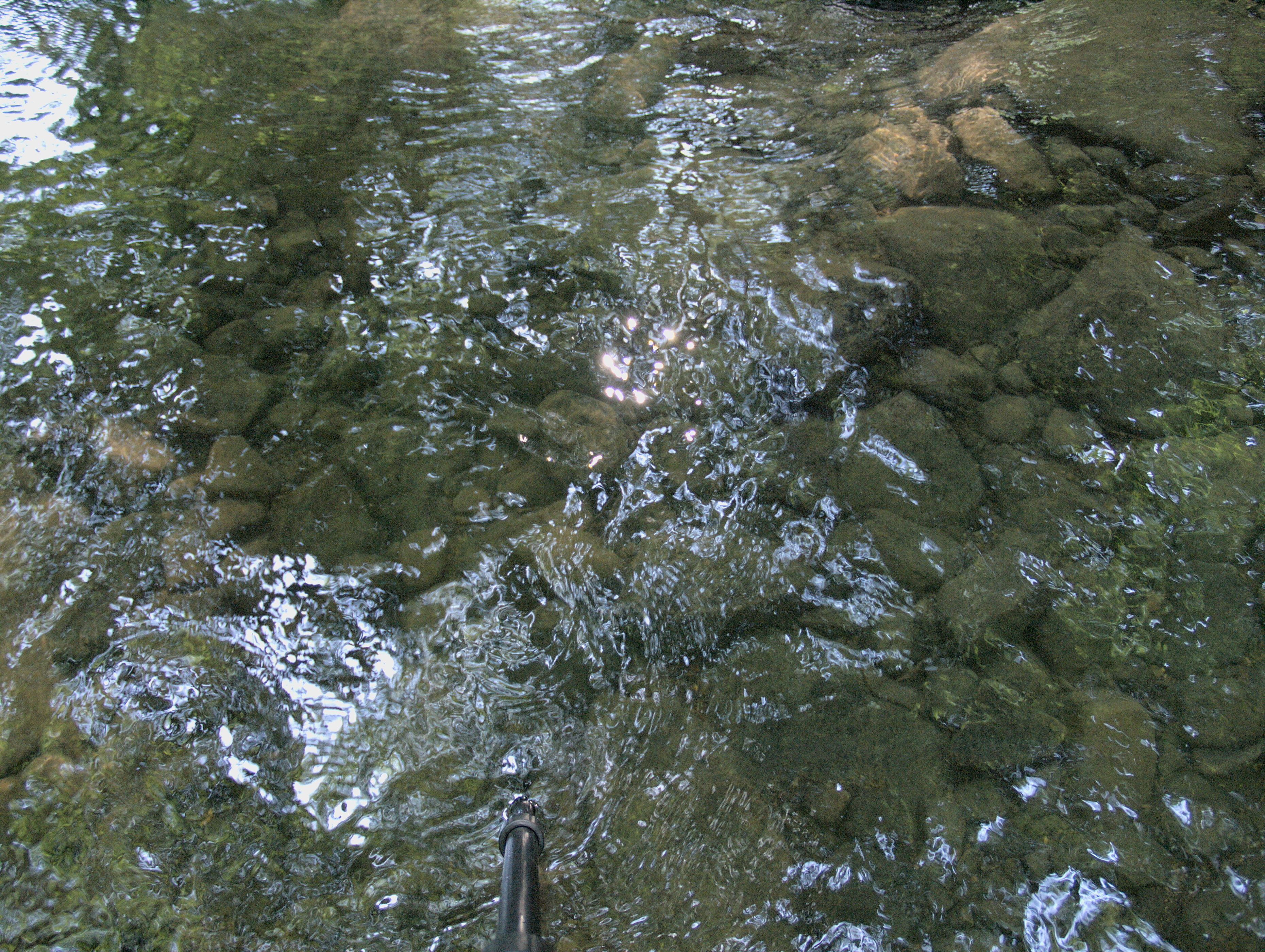 2008-08-01-10-39-31.OR-OLYMP-E-3--