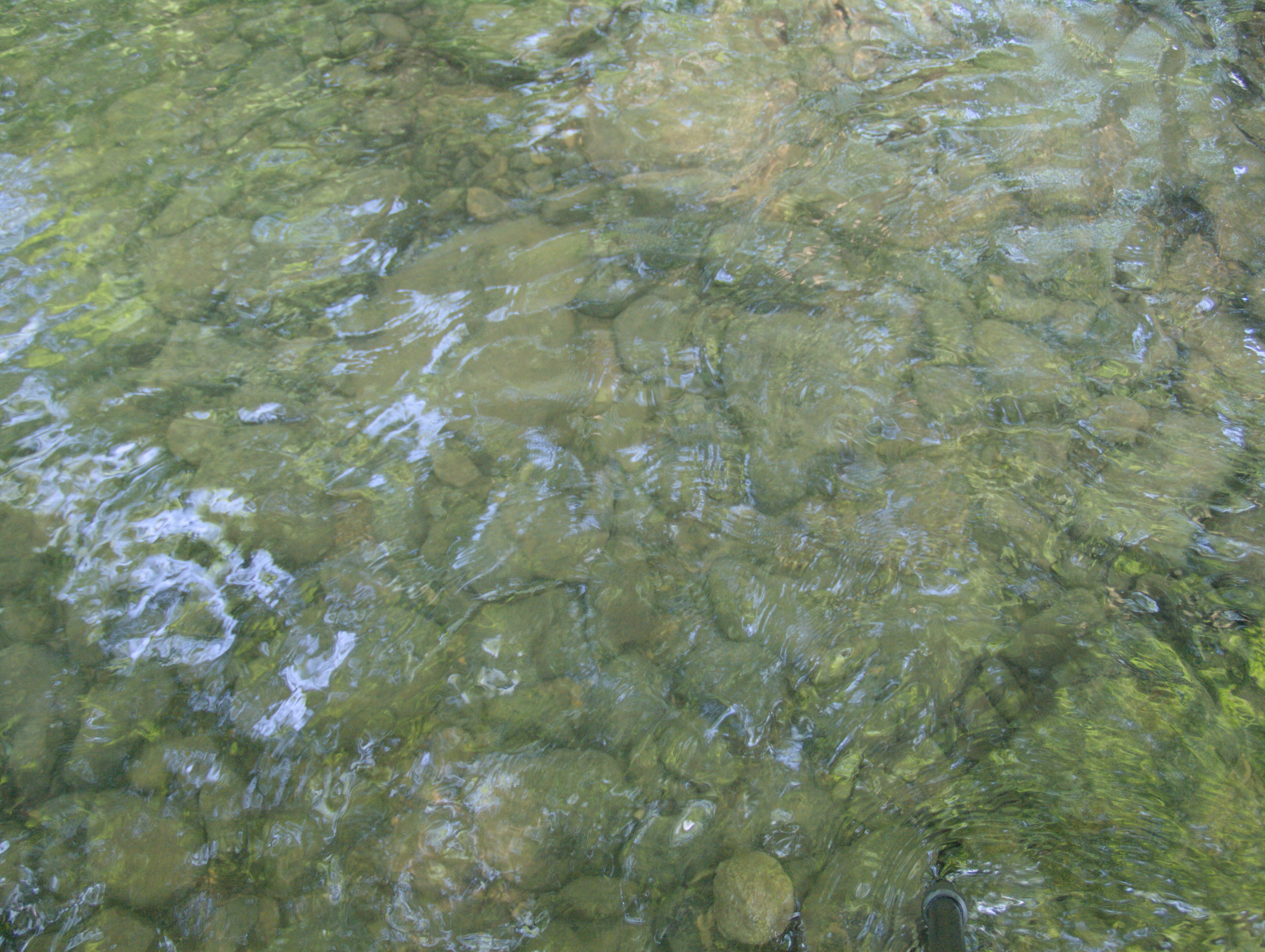 2008-08-01-10-39-57.OR-OLYMP-E-3--