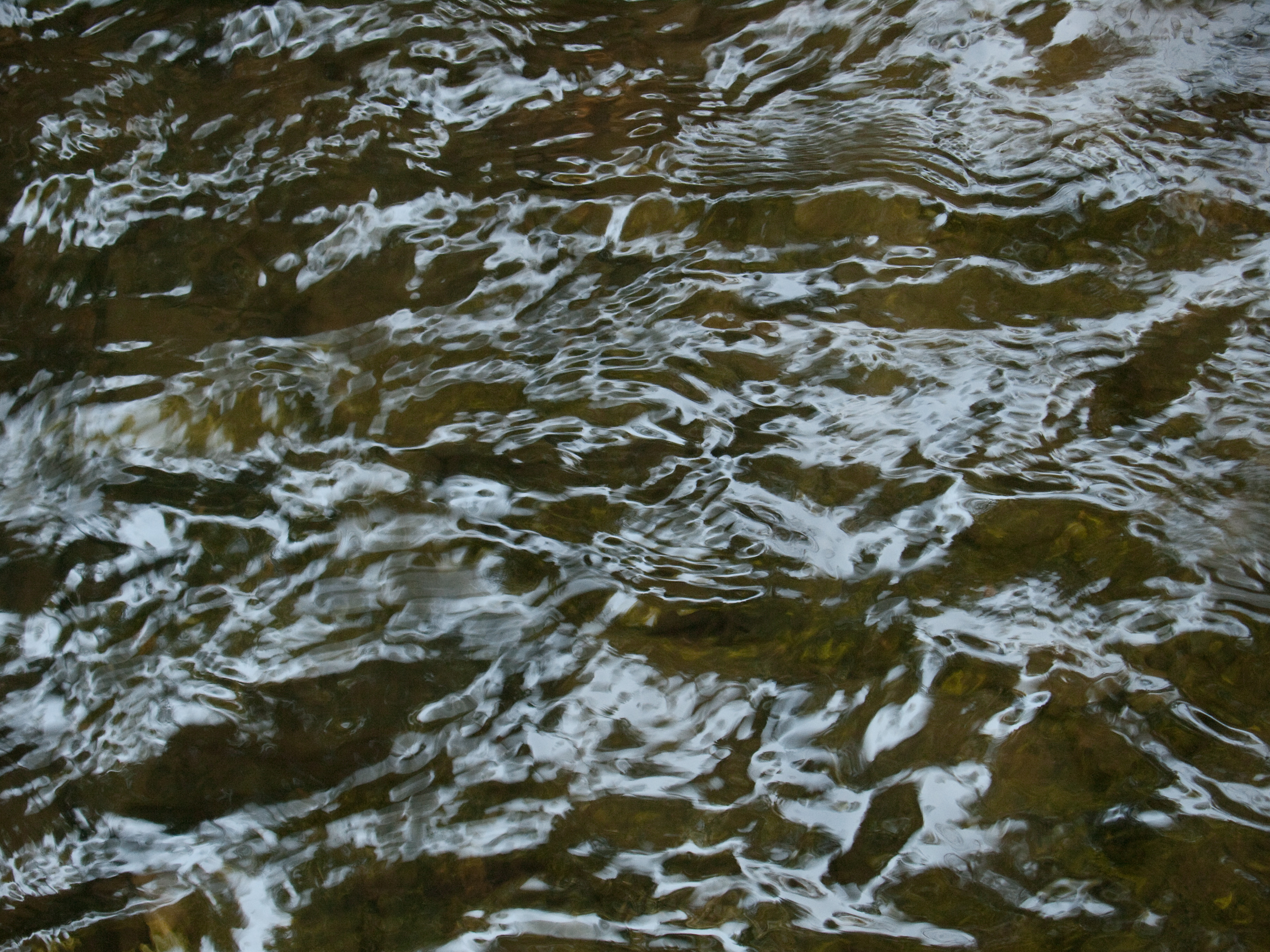 2008-08-01-11-43-40.OR-OLYMP-E-3--
