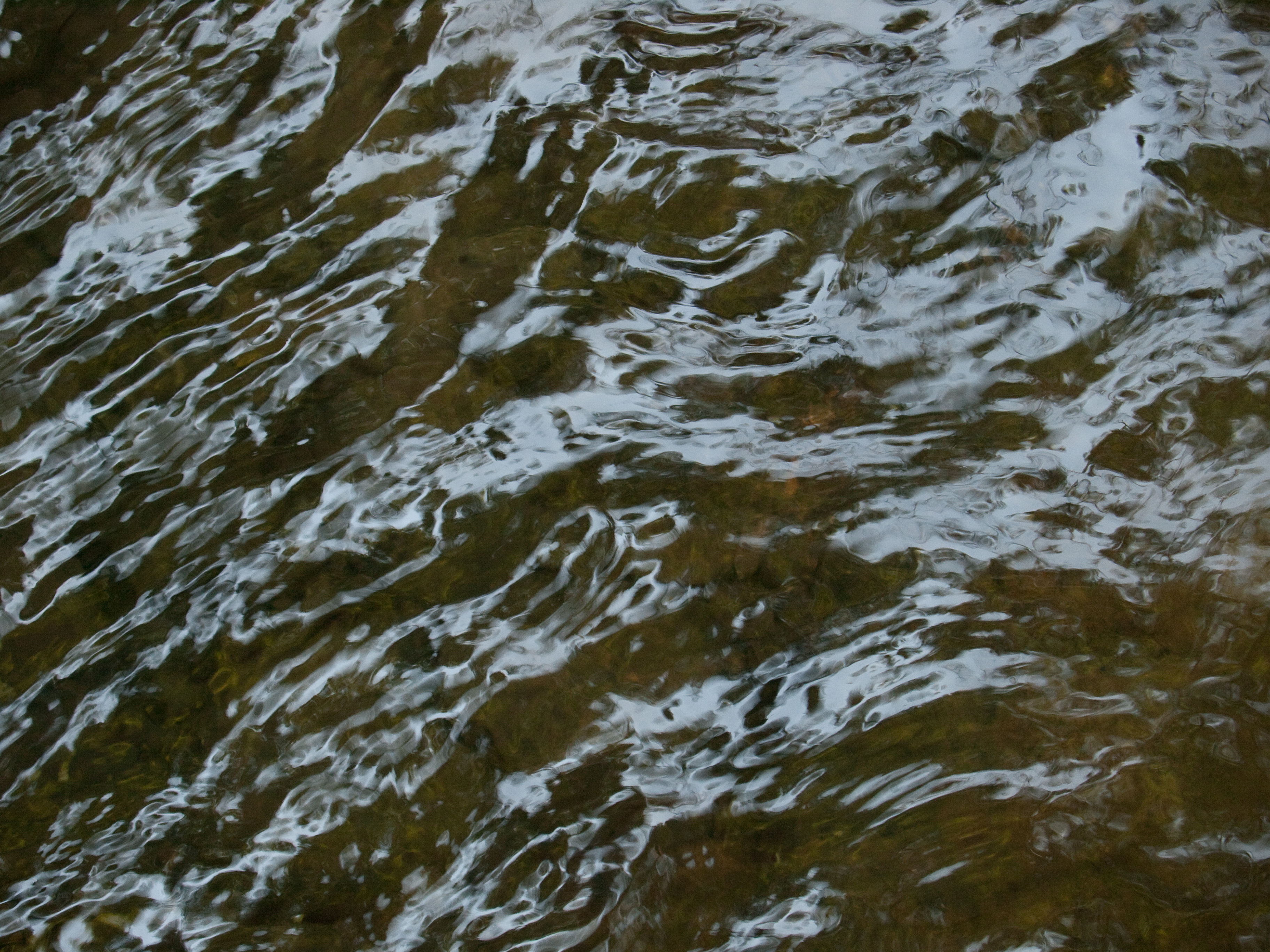 2008-08-01-11-43-42.OR-OLYMP-E-3--