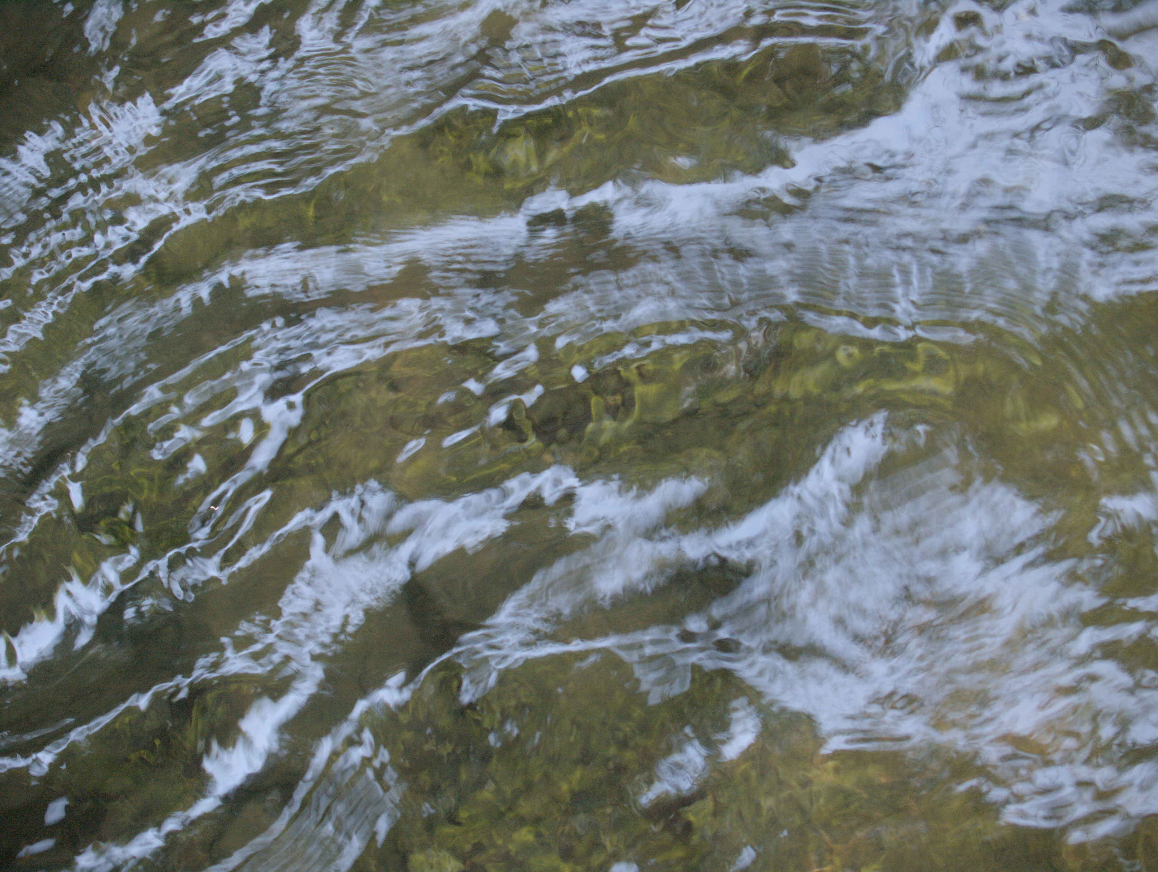 2008-08-01-11-43-51.OR-OLYMP-E-3--