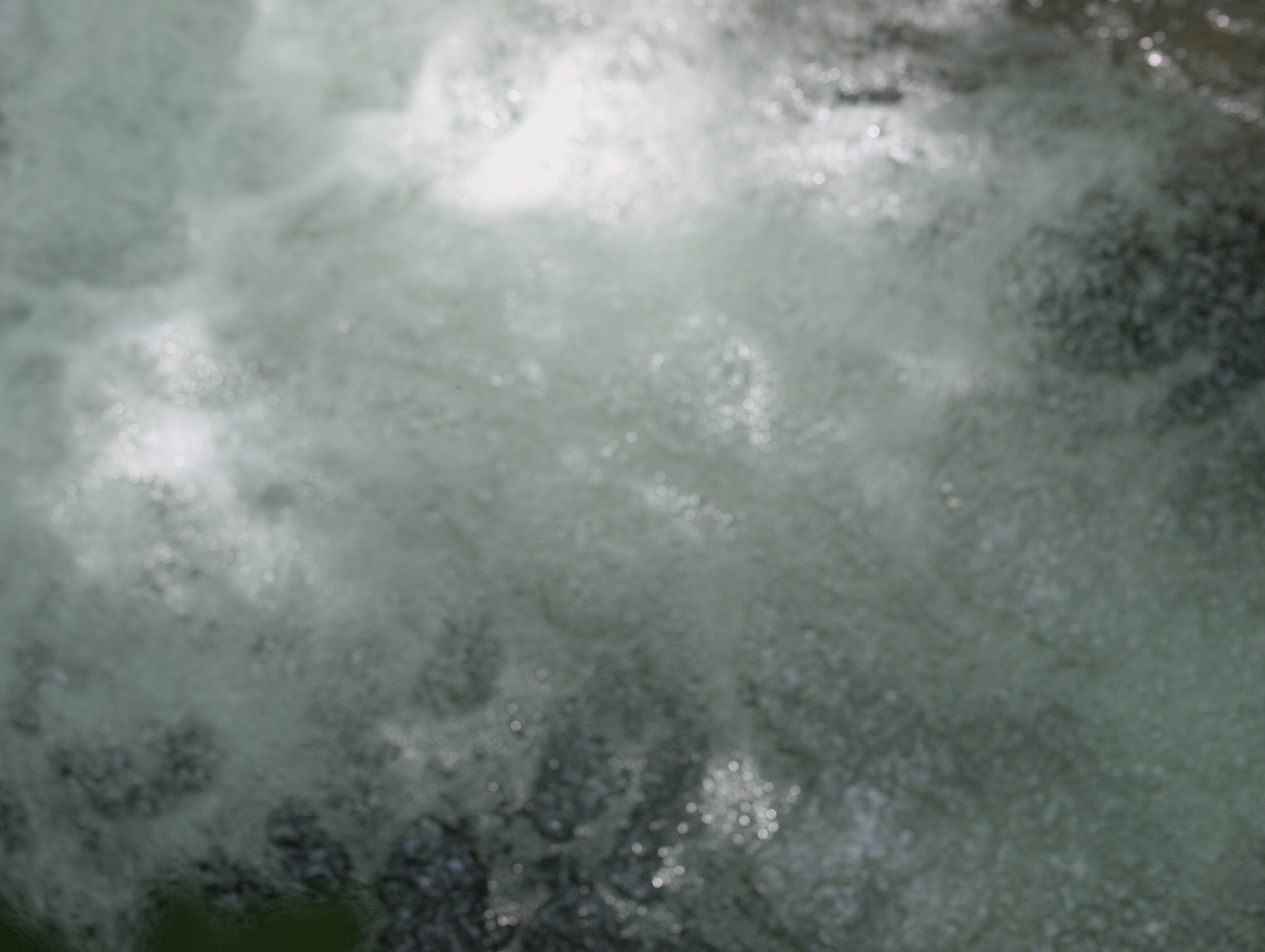 2009-06-06-11-02-00.OR-OLYMP-E-3--