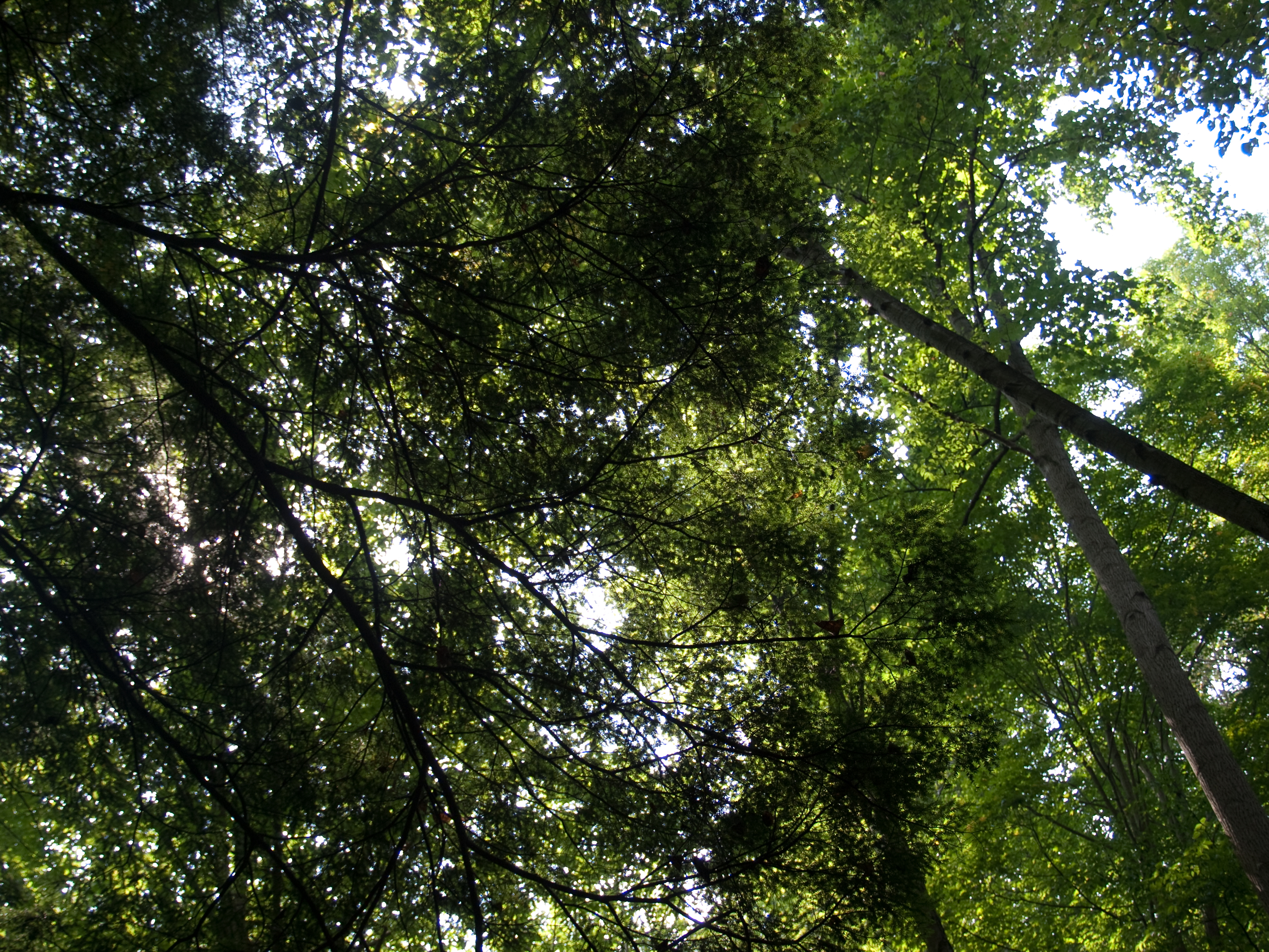 2009-09-05-14-20-08.OR-OLYMP-E-3--