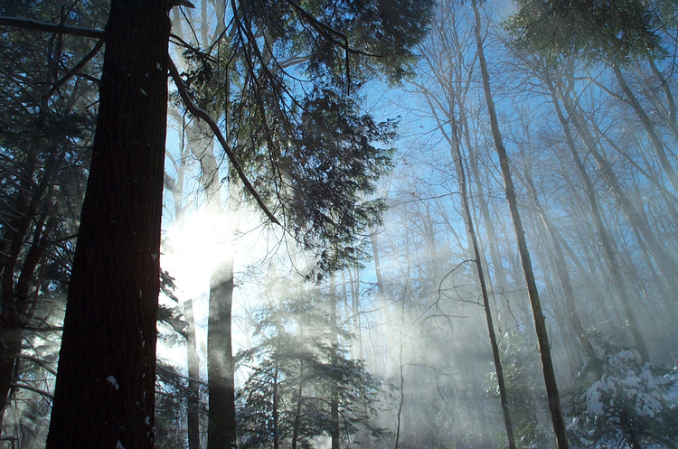 2002-12-07-09-53-56.OR-EASTM-KODAK