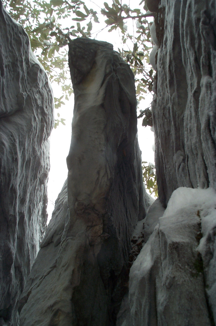 2003-02-01-22-26-40.OR-EASTM-KODAK