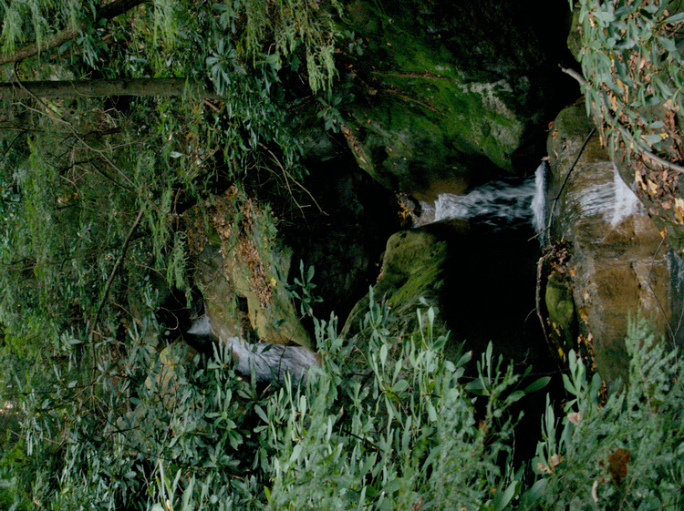 2005-11-05-11-35-22.OR-OLYMP-E-1--