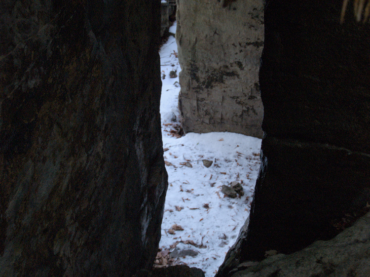 2006-01-28-12-54-24.OR-OLYMP-E-1--