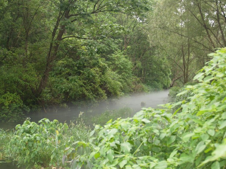 2006-07-15-09-06-01.OR-OLYMP-E-1--