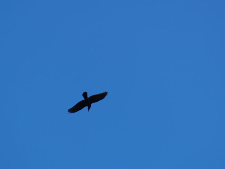 2006-10-07-11-20-52.OR-OLYMP-E-1--