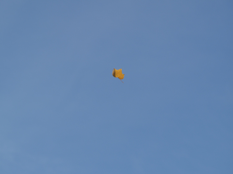 2006-11-04-11-18-02.OR-OLYMP-E-1--
