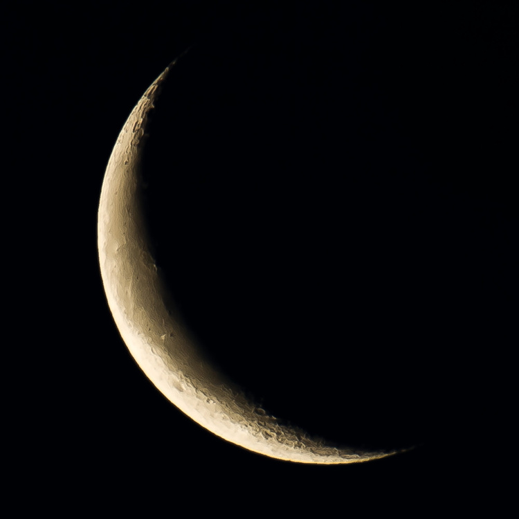 2008-01-04-07-24-10.OR-OLYMP-E-3--