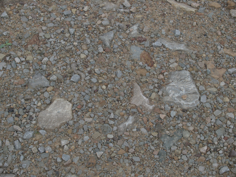 2008-08-01-08-12-13.OR-OLYMP-E-3--