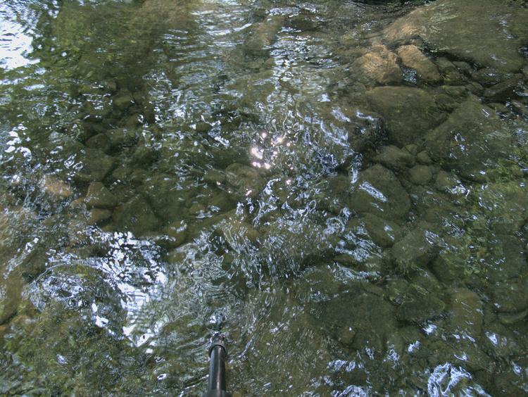 2008-08-01-10-39-31.OR-OLYMP-E-3--