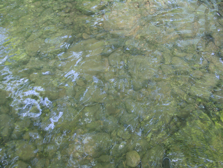 2008-08-01-10-39-57.OR-OLYMP-E-3--