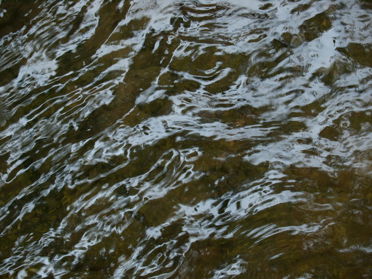 2008-08-01-11-43-42.OR-OLYMP-E-3--