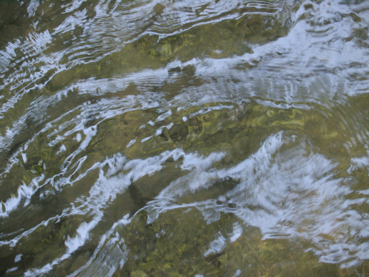 2008-08-01-11-43-51.OR-OLYMP-E-3--