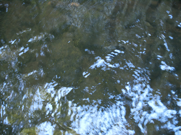 2008-08-01-11-44-39.OR-OLYMP-E-3--