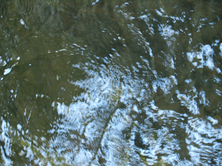 2008-08-01-11-44-48.OR-OLYMP-E-3--