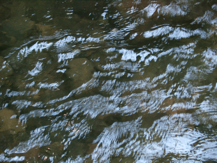 2008-08-01-11-46-28.OR-OLYMP-E-3--