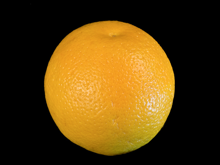 2008-11-10-22-55-52.OR-OLYMP-E-3--