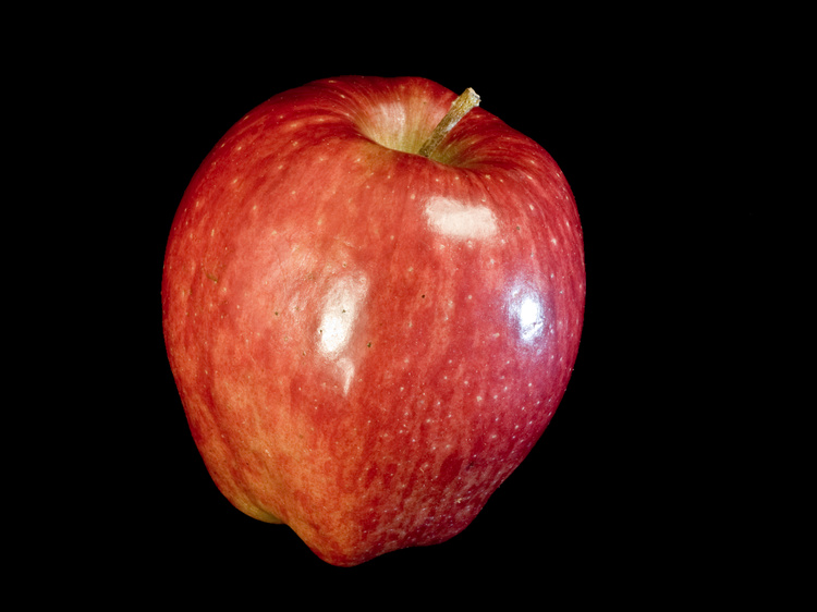 2008-11-11-21-51-12.OR-OLYMP-E-3--