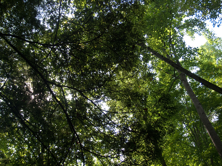 2009-09-05-14-20-08.OR-OLYMP-E-3--