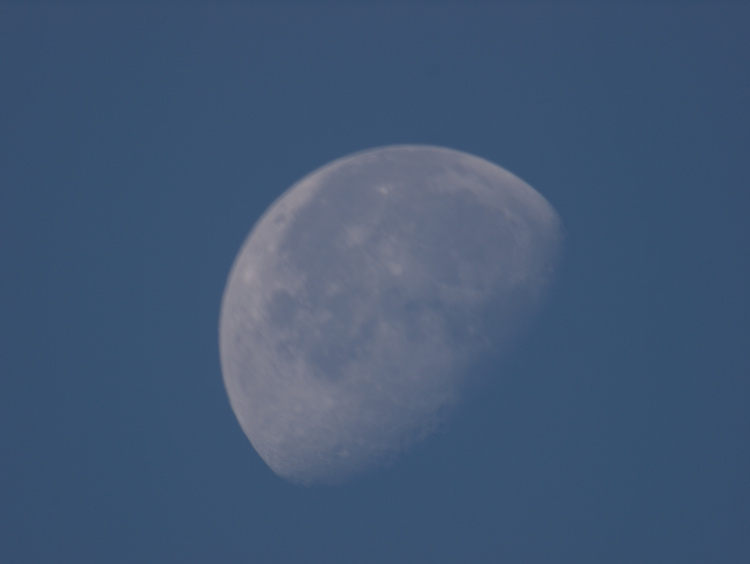2009-11-07-09-05-06.OR-OLYMP-E-3--