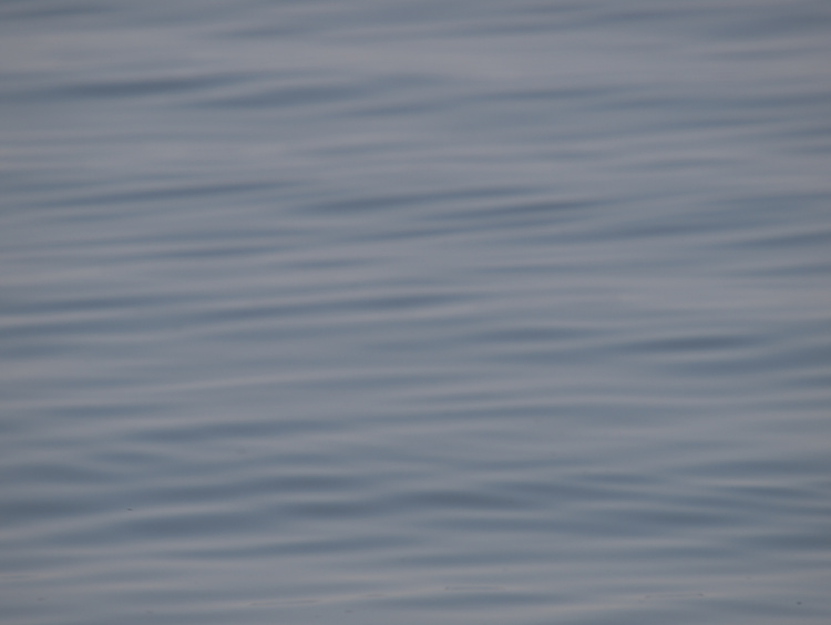 2014-04-12-11-28-32.OR-OLYMP-E-3--