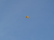 2006-11-04-11-18-02.OR-OLYMP-E-1--